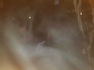 Halloween 2017 - Photo 19